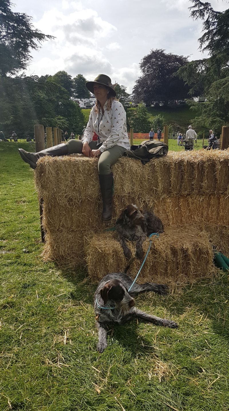 Doggylass