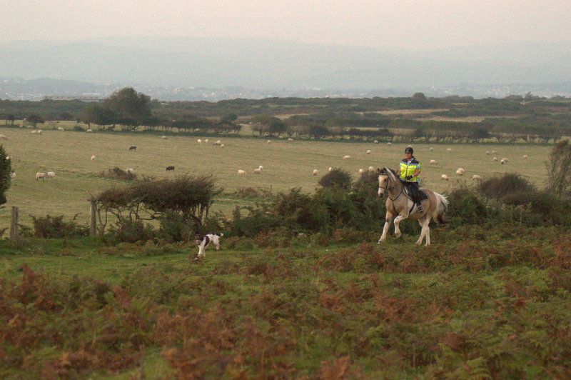 Chats_n_Wellies