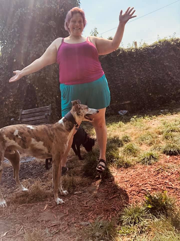 Petdogtrainer