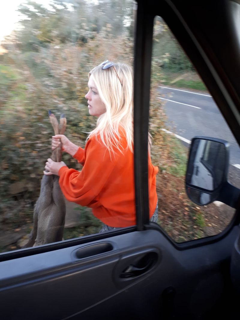 MissSheCan