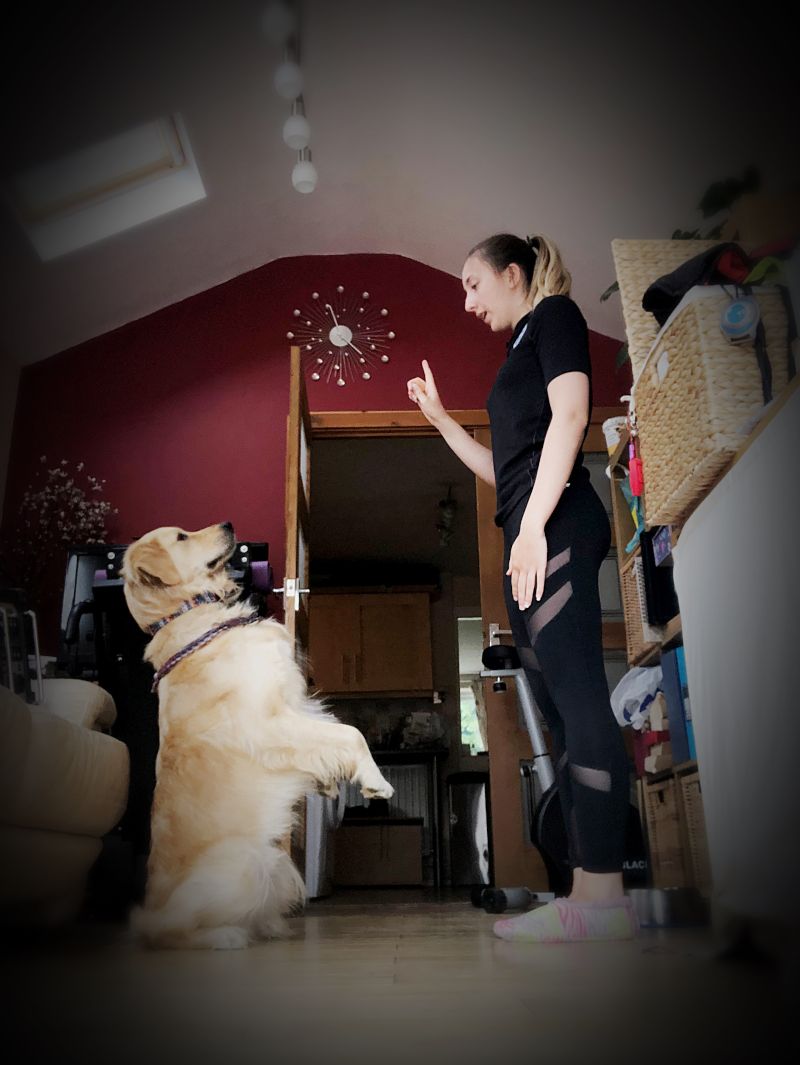 Amyh_370