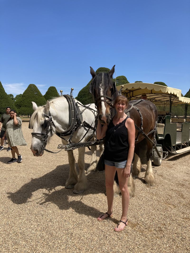 Devonshepherdess