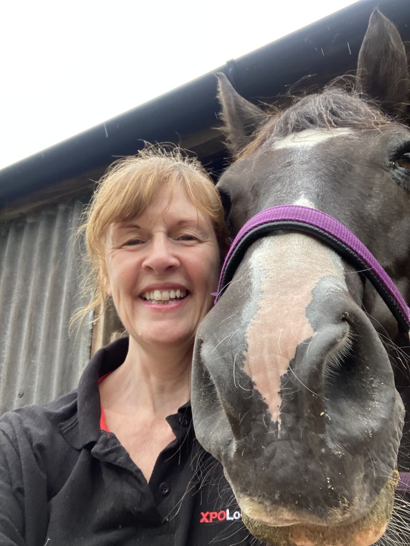 Devonshepherdess