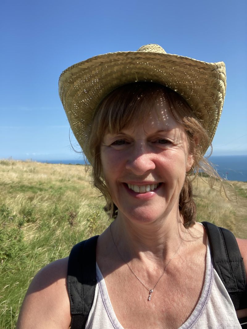 Devonshepherdess