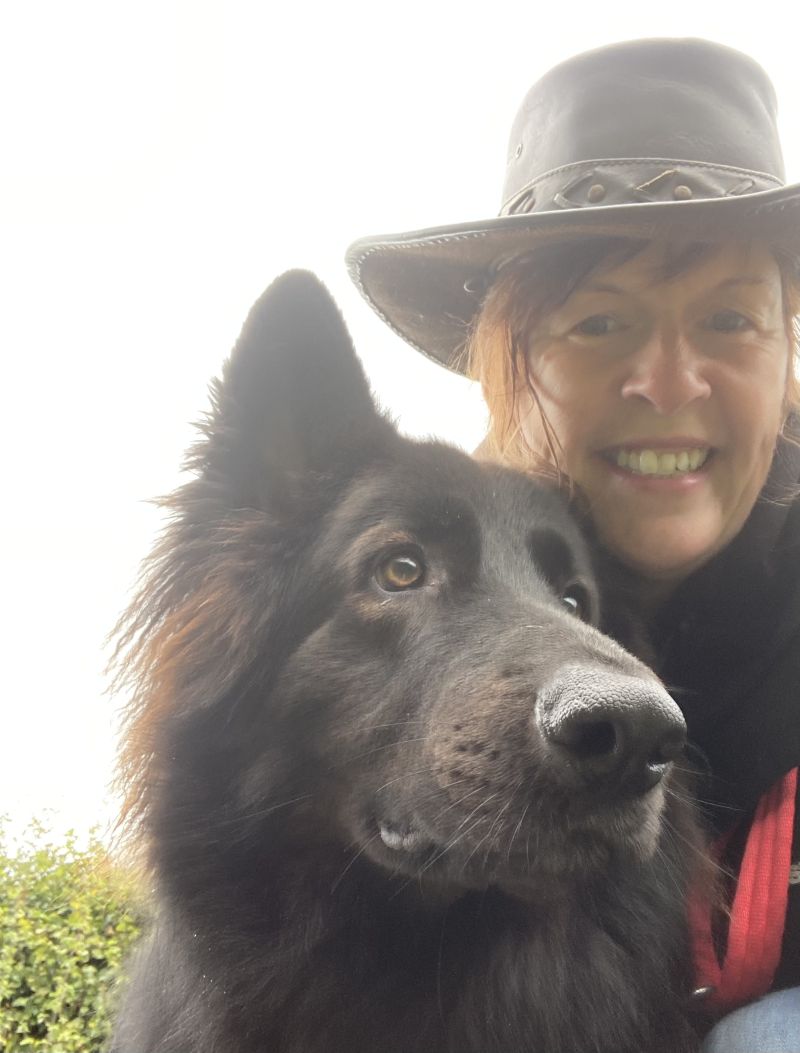 Devonshepherdess