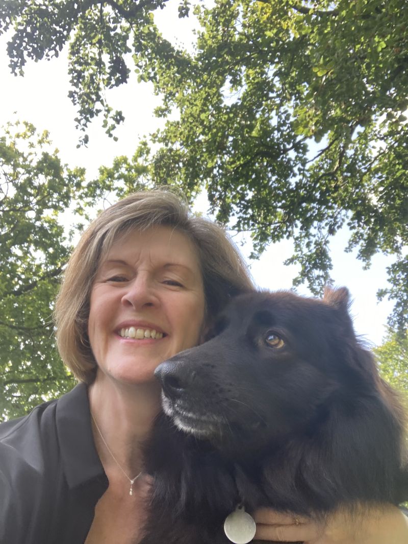 Devonshepherdess